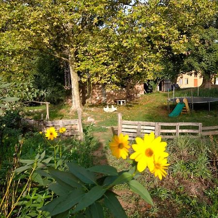 Albergue Del Oso Tierraluz อาร์บูเซียส ภายนอก รูปภาพ