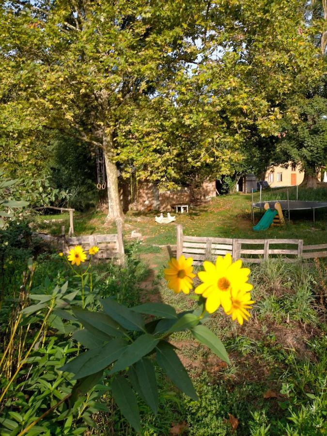 Albergue Del Oso Tierraluz อาร์บูเซียส ภายนอก รูปภาพ
